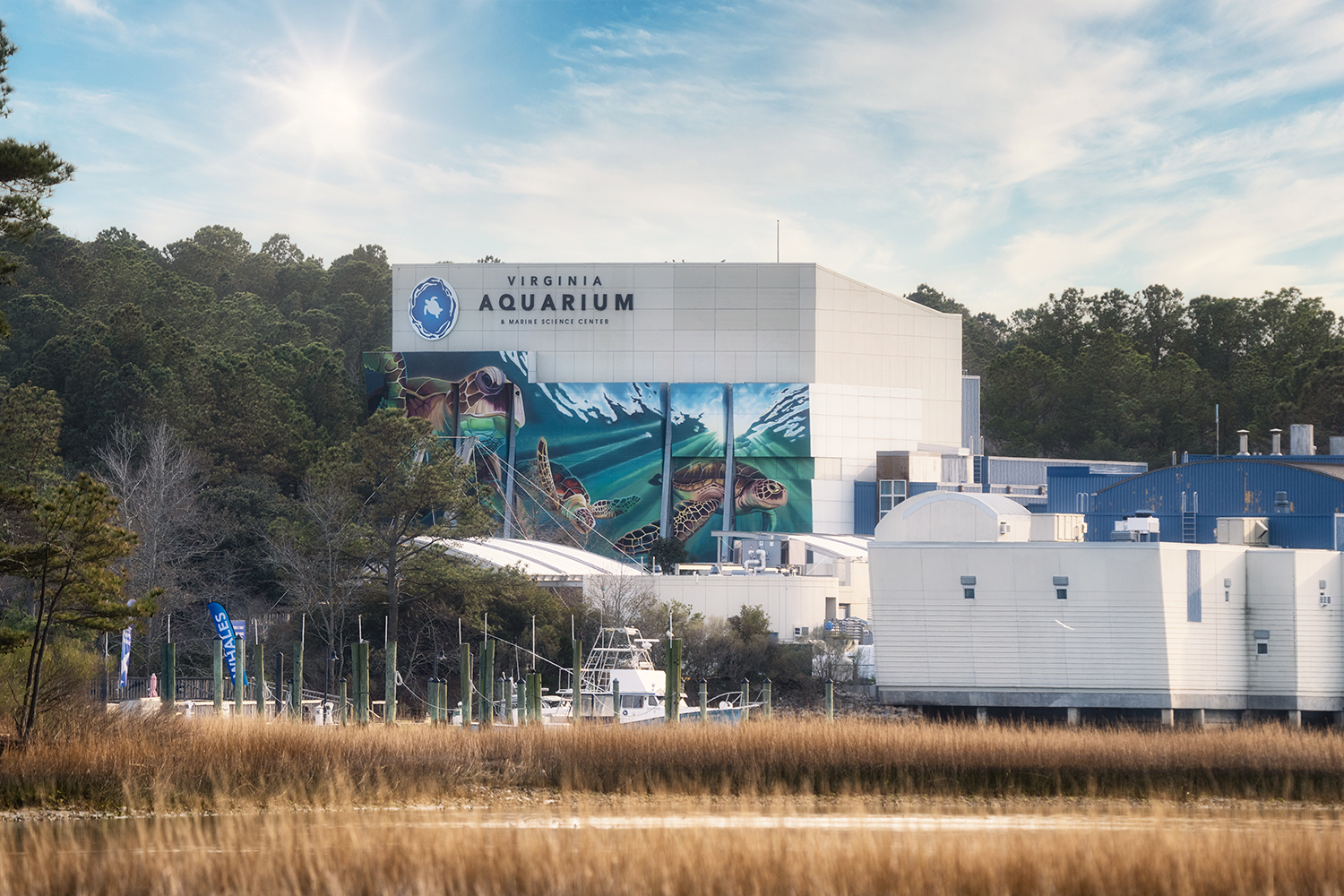 Virginia Aquarium
