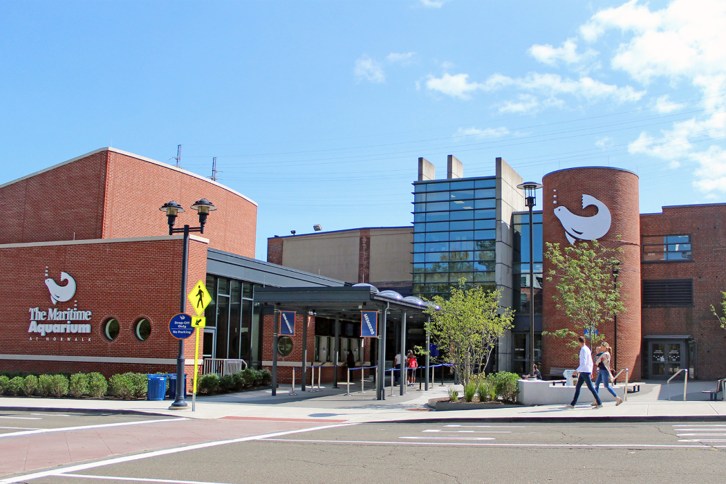 Maritime Aquarium - Norwalk, CT